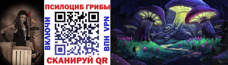 закладка  Сорск  Галлюциногенные грибы мухоморы 