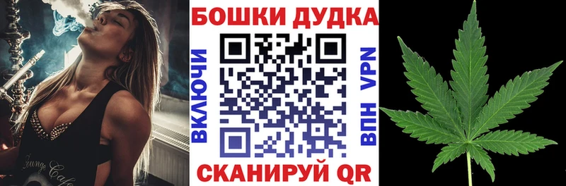 Бошки Шишки семена Сорск